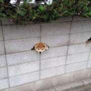 ヒメ日記 2025/10/11 17:01 投稿 瑠衣（ルイ） アバンチュール(五反田)