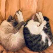 ヒメ日記 2025/10/25 18:46 投稿 瑠衣（ルイ） アバンチュール(五反田)