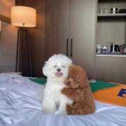 ヒメ日記 2025/11/05 12:16 投稿 瑠衣（ルイ） アバンチュール(五反田)