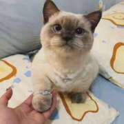 ヒメ日記 2025/11/06 23:31 投稿 瑠衣（ルイ） アバンチュール(五反田)