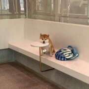 ヒメ日記 2025/11/11 00:46 投稿 瑠衣（ルイ） アバンチュール(五反田)