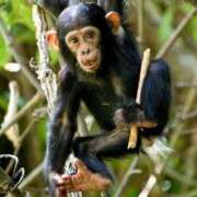 ヒメ日記 2025/11/14 22:02 投稿 瑠衣（ルイ） アバンチュール(五反田)