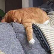 瑠衣（ルイ） ? アバンチュール(五反田)