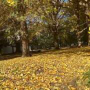 ヒメ日記 2025/12/18 22:01 投稿 瑠衣（ルイ） アバンチュール(五反田)