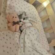 ヒメ日記 2025/12/26 19:16 投稿 瑠衣（ルイ） アバンチュール(五反田)