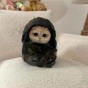 ヒメ日記 2026/01/06 11:31 投稿 瑠衣（ルイ） アバンチュール(五反田)