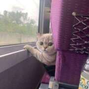 ヒメ日記 2026/02/02 13:01 投稿 瑠衣（ルイ） アバンチュール(五反田)