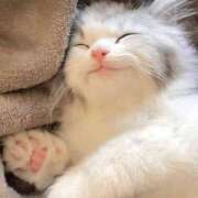 ヒメ日記 2026/02/03 14:46 投稿 瑠衣（ルイ） アバンチュール(五反田)