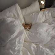 ヒメ日記 2026/02/04 22:16 投稿 瑠衣（ルイ） アバンチュール(五反田)