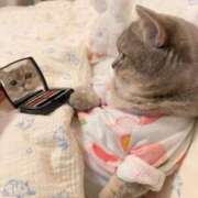 ヒメ日記 2026/02/17 23:01 投稿 瑠衣（ルイ） アバンチュール(五反田)