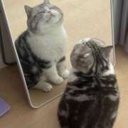 ヒメ日記 2026/02/22 18:46 投稿 瑠衣（ルイ） アバンチュール(五反田)