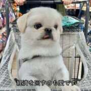 ヒメ日記 2025/05/06 02:46 投稿 アキホ マテリアル