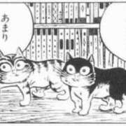 ヒメ日記 2025/05/09 16:31 投稿 アキホ マテリアル