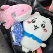 ヒメ日記 2026/02/15 23:16 投稿 アキホ マテリアル