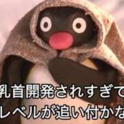 ヒメ日記 2026/02/26 06:01 投稿 アキホ マテリアル