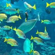 ヒメ日記 2026/03/17 03:16 投稿 アキホ マテリアル