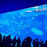 ヒメ日記 2026/03/23 23:46 投稿 アキホ マテリアル