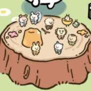 アキホ 今日も マテリアル