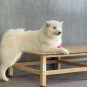 ヒメ日記 2026/04/15 23:31 投稿 アキホ マテリアル