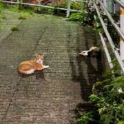 ヒメ日記 2026/04/19 02:31 投稿 アキホ マテリアル