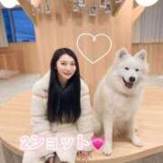 ヒメ日記 2025/01/11 21:02 投稿 みき 蒲田ウルトラギャラクシー