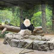 ヒメ日記 2025/11/04 21:03 投稿 みき 蒲田ウルトラギャラクシー