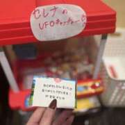 ヒメ日記 2025/02/08 20:19 投稿 セレナ ビギナーズ神戸