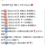 ヒメ日記 2025/04/09 19:42 投稿 セレナ ビギナーズ神戸