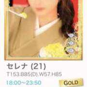 ヒメ日記 2025/07/14 10:57 投稿 セレナ ビギナーズ神戸