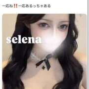ヒメ日記 2025/08/31 00:41 投稿 セレナ ビギナーズ神戸