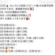 ヒメ日記 2025/11/20 11:41 投稿 セレナ ビギナーズ神戸