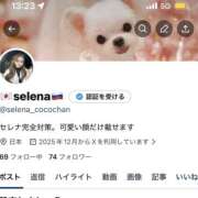 セレナ 【凍結ヲンナ】セレナ🇷🇺 ビギナーズ神戸