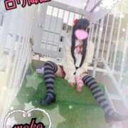 ヒメ日記 2026/03/14 22:51 投稿 モコ ラブ&ピース 大宮店