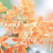 ヒメ日記 2025/11/06 16:23 投稿 水嶋　あいく ホットアロマ