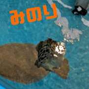 ヒメ日記 2025/11/01 22:11 投稿 松岡 みのり ホットアロマ