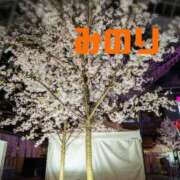 松岡 みのり こんばんは★ ホットアロマ