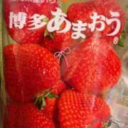 松岡 みのり こんばんは♪ ホットアロマ