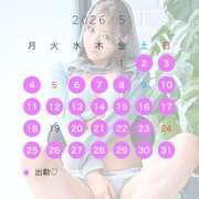 ヒメ日記 2026/04/21 08:00 投稿 Eren PROPORTION