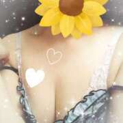 ヒメ日記 2025/08/09 21:39 投稿 ひかり 川崎三浦屋