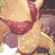 ヒメ日記 2025/11/15 13:02 投稿 ひかり 川崎三浦屋