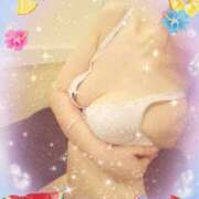 ヒメ日記 2025/12/26 19:05 投稿 ひかり 川崎三浦屋