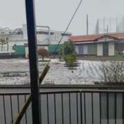 ヒメ日記 2026/02/07 17:47 投稿 ひかり 川崎三浦屋