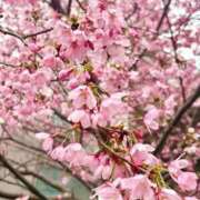 ヒメ日記 2026/03/31 21:36 投稿 絢(あや) グランドオペラ東京