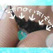 ヒメ日記 2025/07/29 17:53 投稿 れいな若奥 未熟な若奥