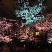 ヒメ日記 2025/05/03 13:20 投稿 カクテル スーパーマッサージ