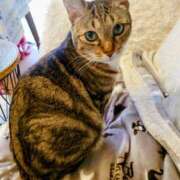 ヒメ日記 2025/05/06 11:50 投稿 カクテル スーパーマッサージ