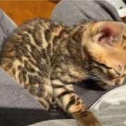 ヒメ日記 2025/05/22 17:13 投稿 カクテル スーパーマッサージ