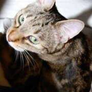 ヒメ日記 2025/06/12 16:00 投稿 カクテル スーパーマッサージ