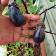 ワイン 出勤です スーパーマッサージ