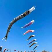 モルト 鯉のぼり スーパーマッサージ